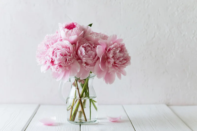 Pink peonies in full bloom arranged in a clear glass vase on a white wooden table