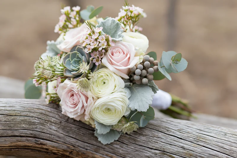 Bridal bouquet with roses, ranunculus, succulents and eucalyptus resting on a weathered wooden log outdoors