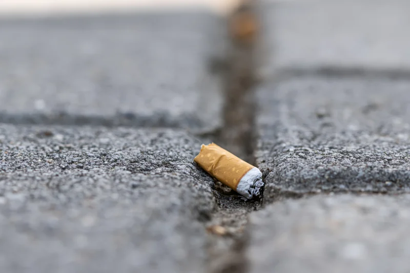 Crushed cigarette butt wedged in crack of asphalt pavement
