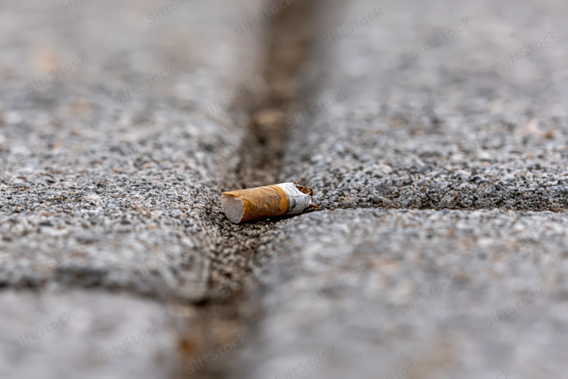 Crushed cigarette butt wedged in crack between pavement stones