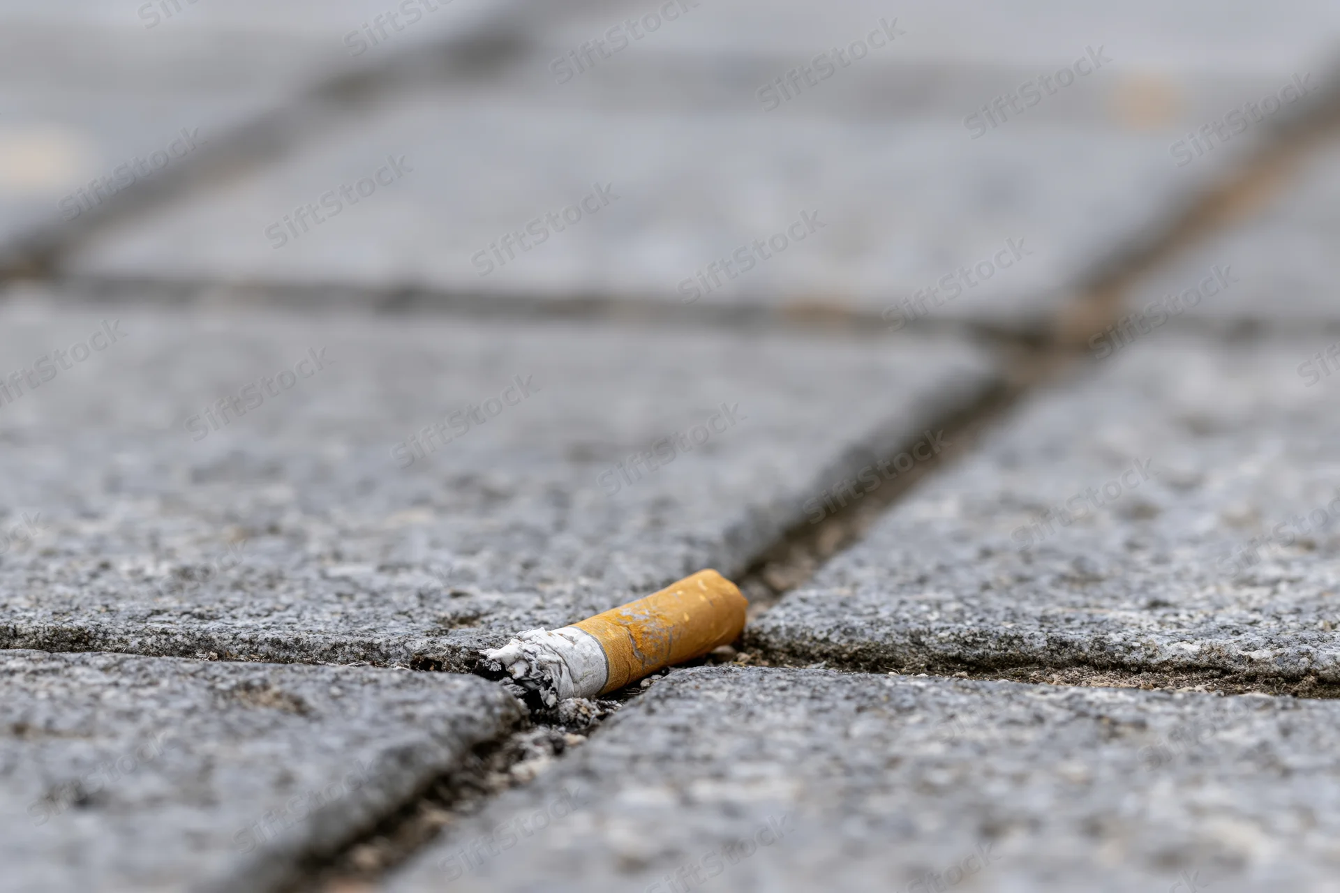 Crushed cigarette butt wedged in crack between pavement stones