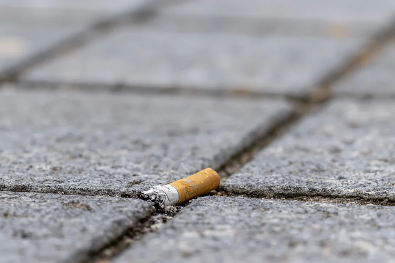 Crushed cigarette butt wedged in crack between pavement stones