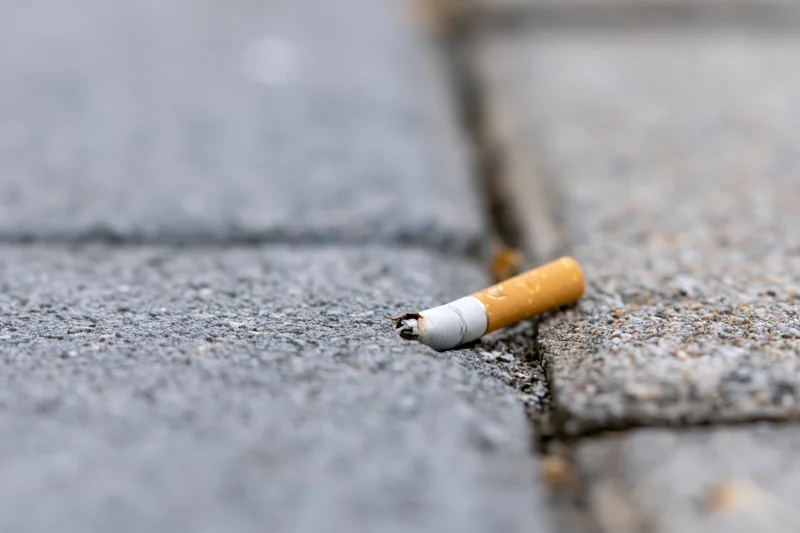 Crushed cigarette butt wedged in crack between pavement stones