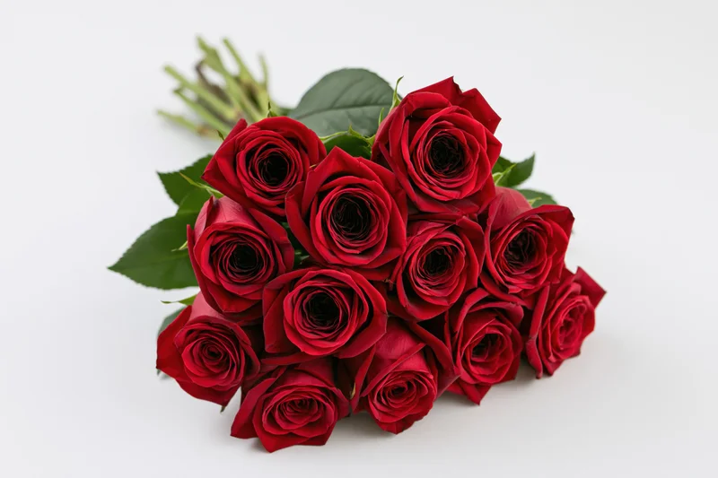 A dozen red roses arranged in a loose bouquet with green stems and leaves on a white surface
