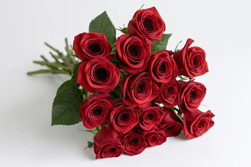 A bouquet of red roses arranged loosely with green stems and leaves on a white surface