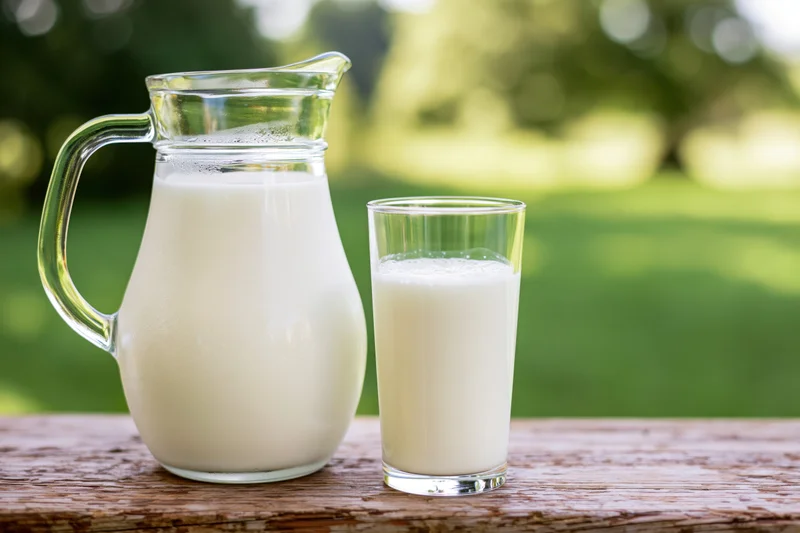 Glass pitcher and tumbler filled with milk on a wooden table outdoors