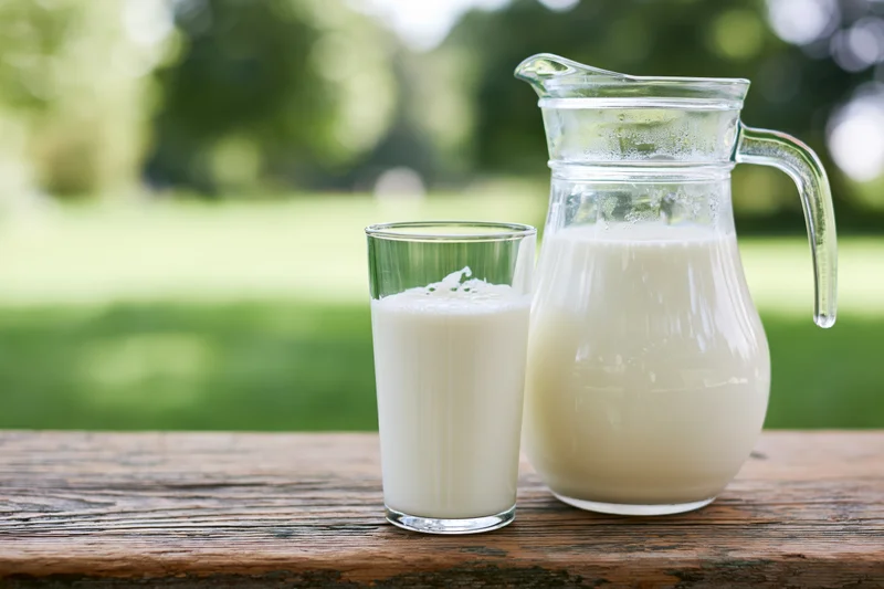 Glass pitcher and tumbler filled with milk on a wooden table outdoors