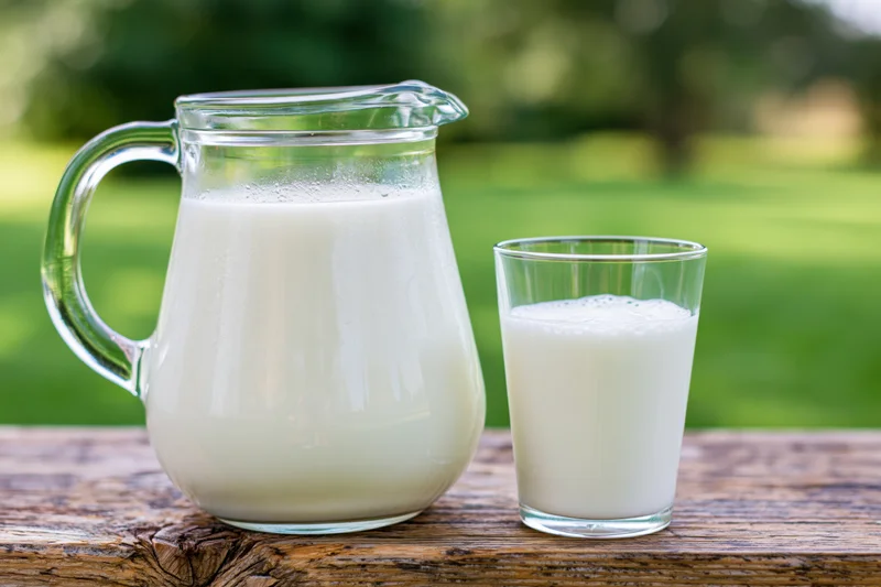Glass pitcher and tumbler filled with milk on a wooden table outdoors