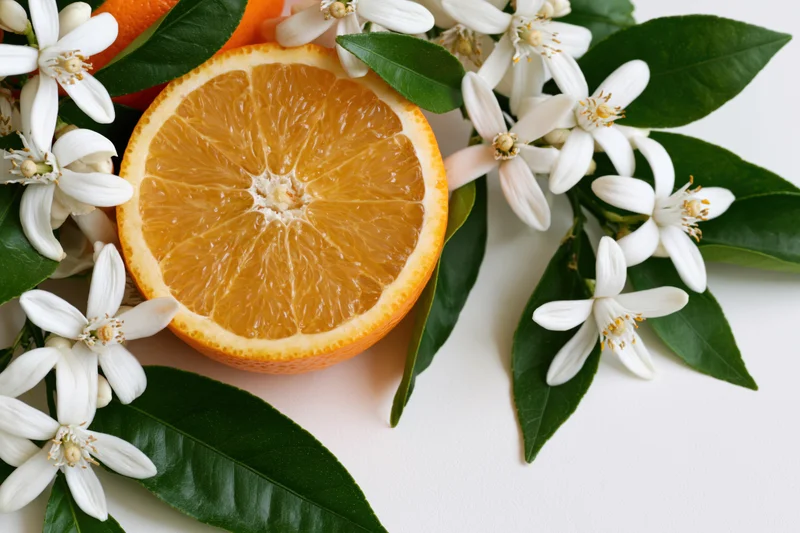 Halved orange slice surrounded by orange blossoms and green leaves on white surface
