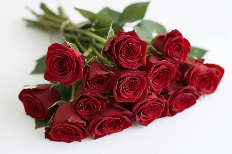 Loose bouquet of red roses with green stems and leaves laid flat on white surface