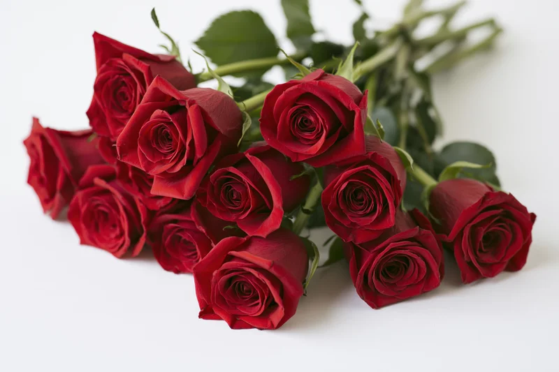 Loose bouquet of red roses with green stems and leaves laid flat on white surface