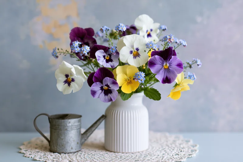 A loose bouquet of purple white and yellow pansies in a white ribbed vase beside a metal watering can on a lace doily