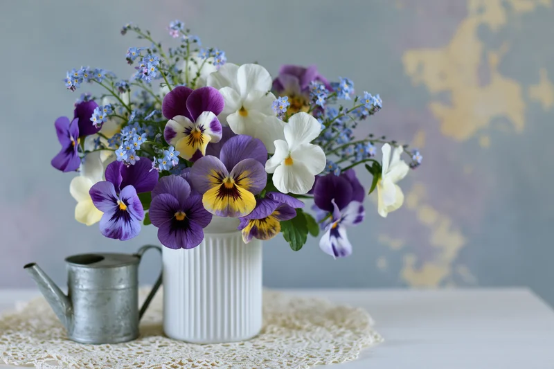 A loose bouquet of purple, white, and yellow pansies with forget-me-nots in a white ribbed vase on a lace doily beside a metal watering can on a table