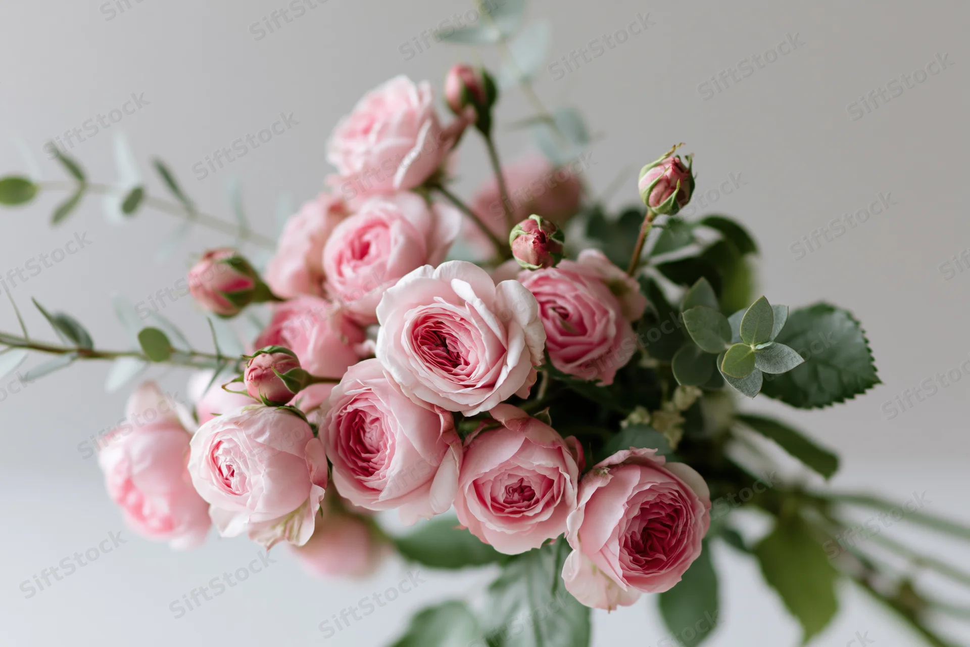 Loose bouquet of pink garden roses with green foliage arranged against a white background