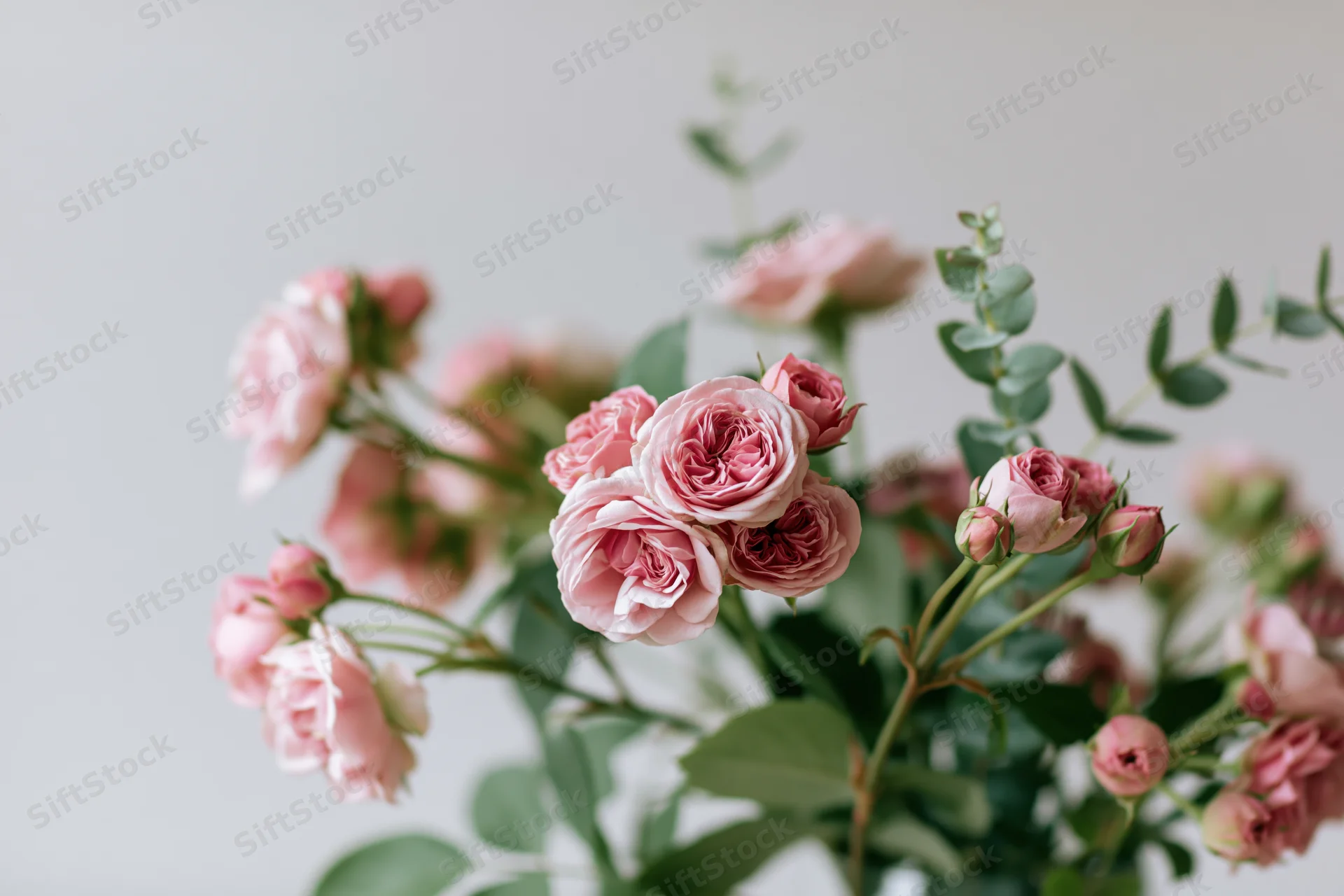Loose bouquet of pink garden roses with green foliage against a light background