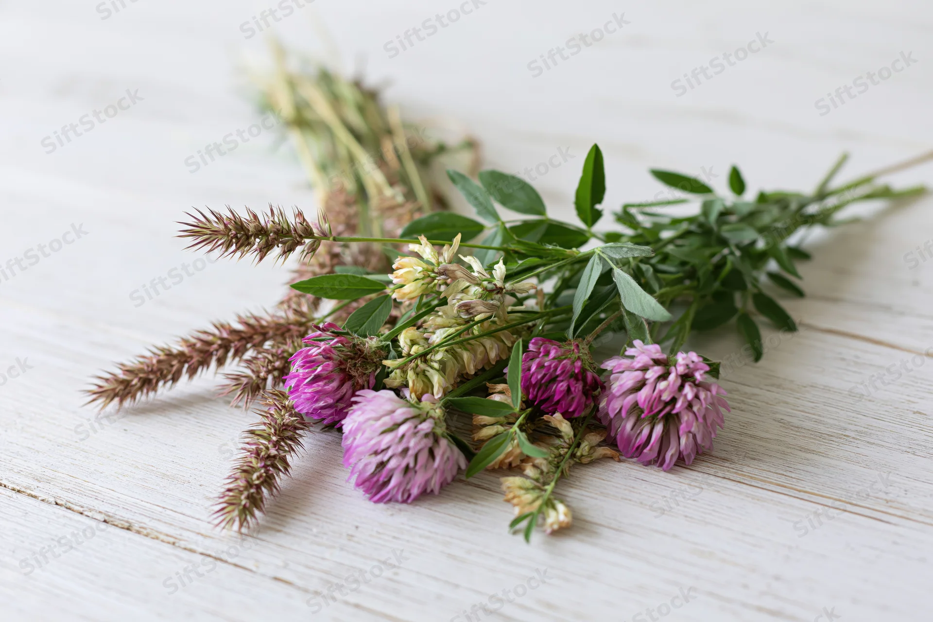 Loose bunch of pink clover and yellow vetch flowers on white wooden surface