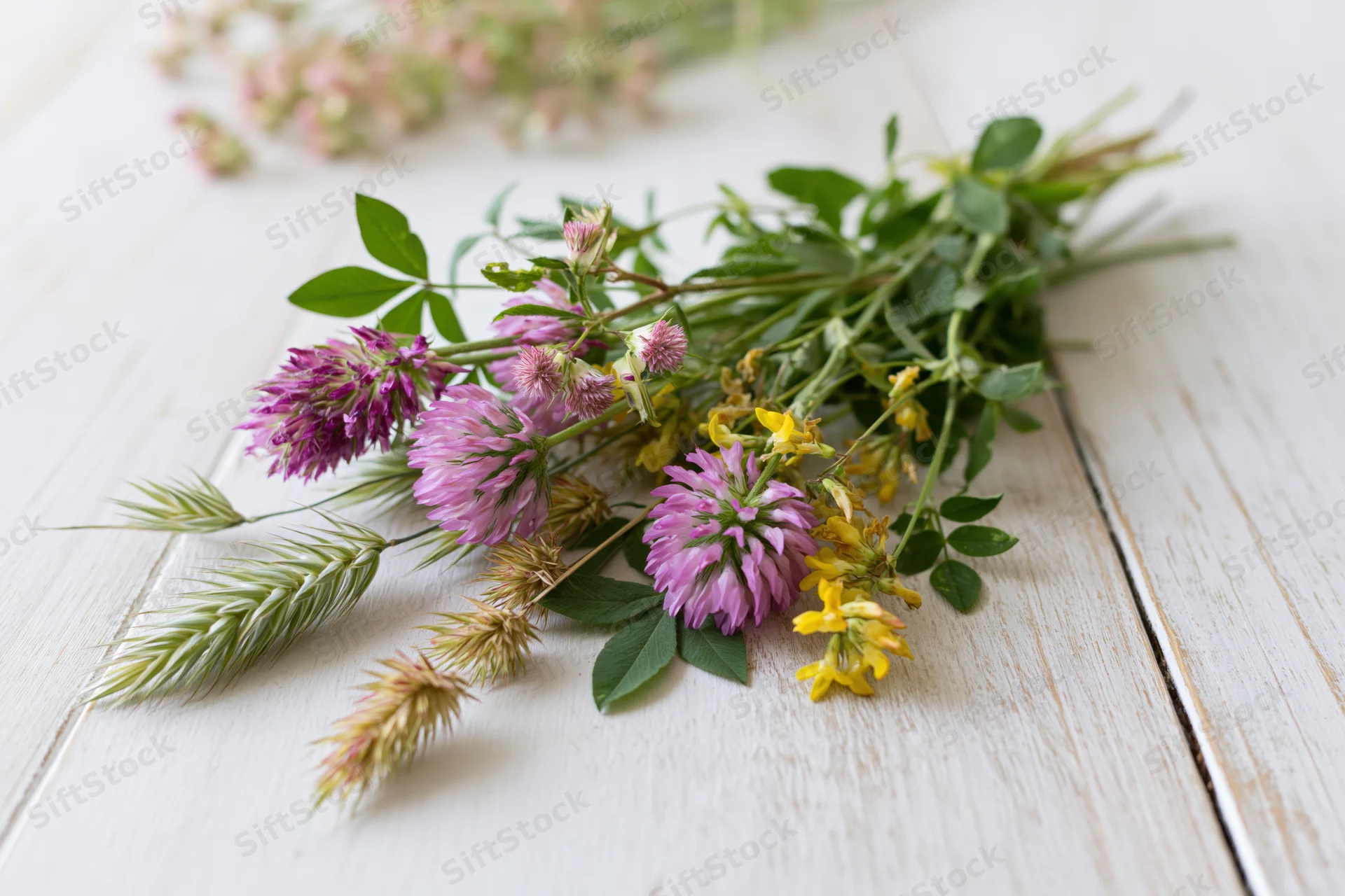 Loose bunch of wild meadow flowers including pink clover and yellow vetch resting on a white wooden table