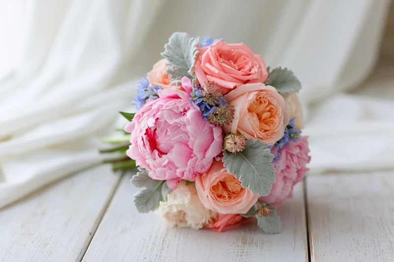Round bridal bouquet of pink peonies and peach roses with blue flowers and greenery on white wooden table with draped fabric background
