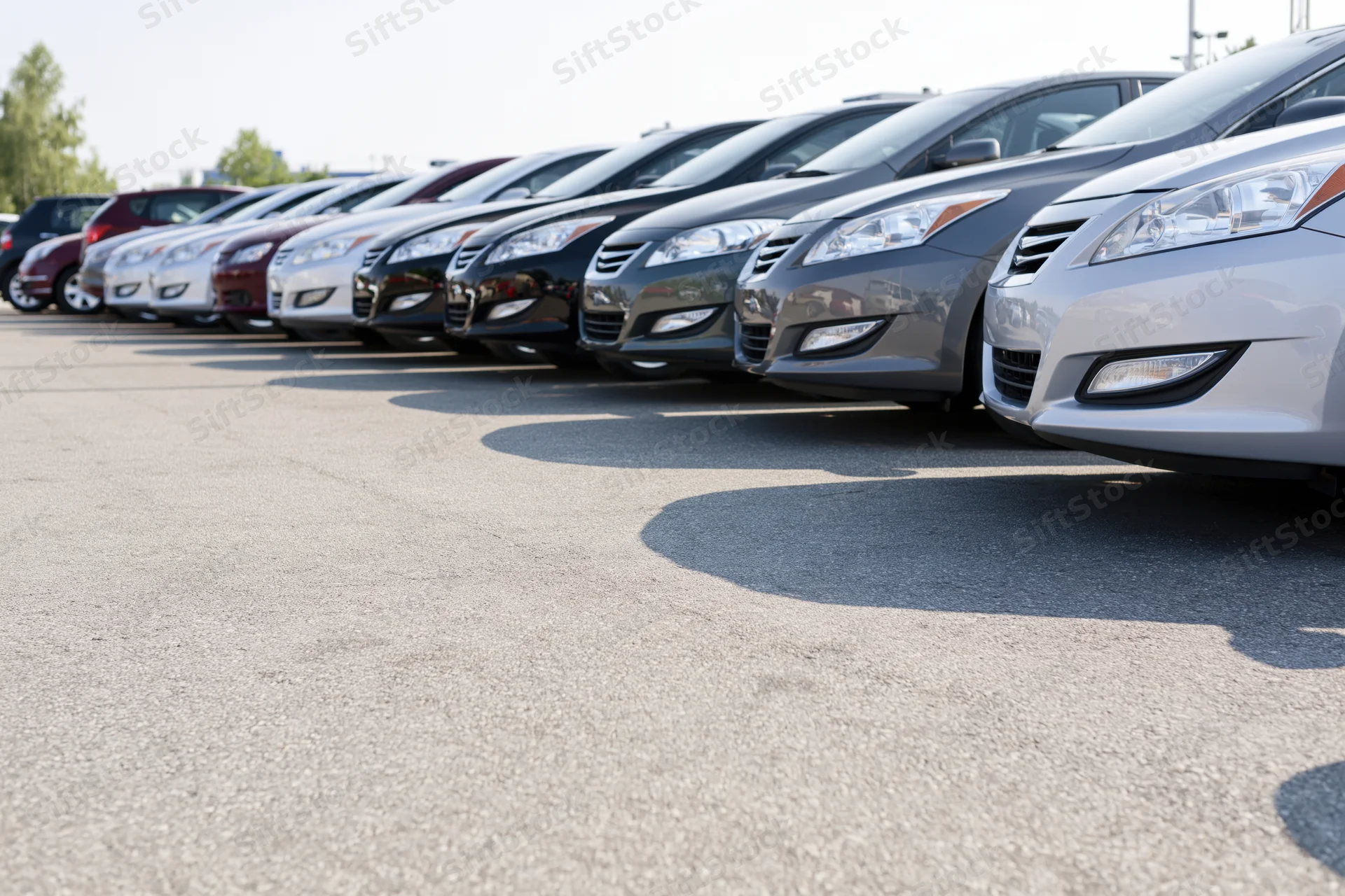 Row of sedans and hatchbacks parked diagonally on asphalt lot