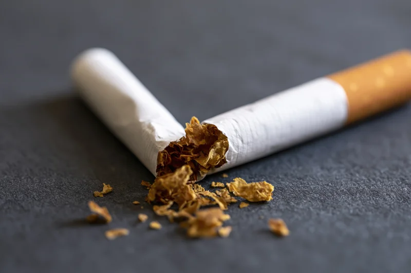 Broken cigarette snapped in half with tobacco debris on dark surface