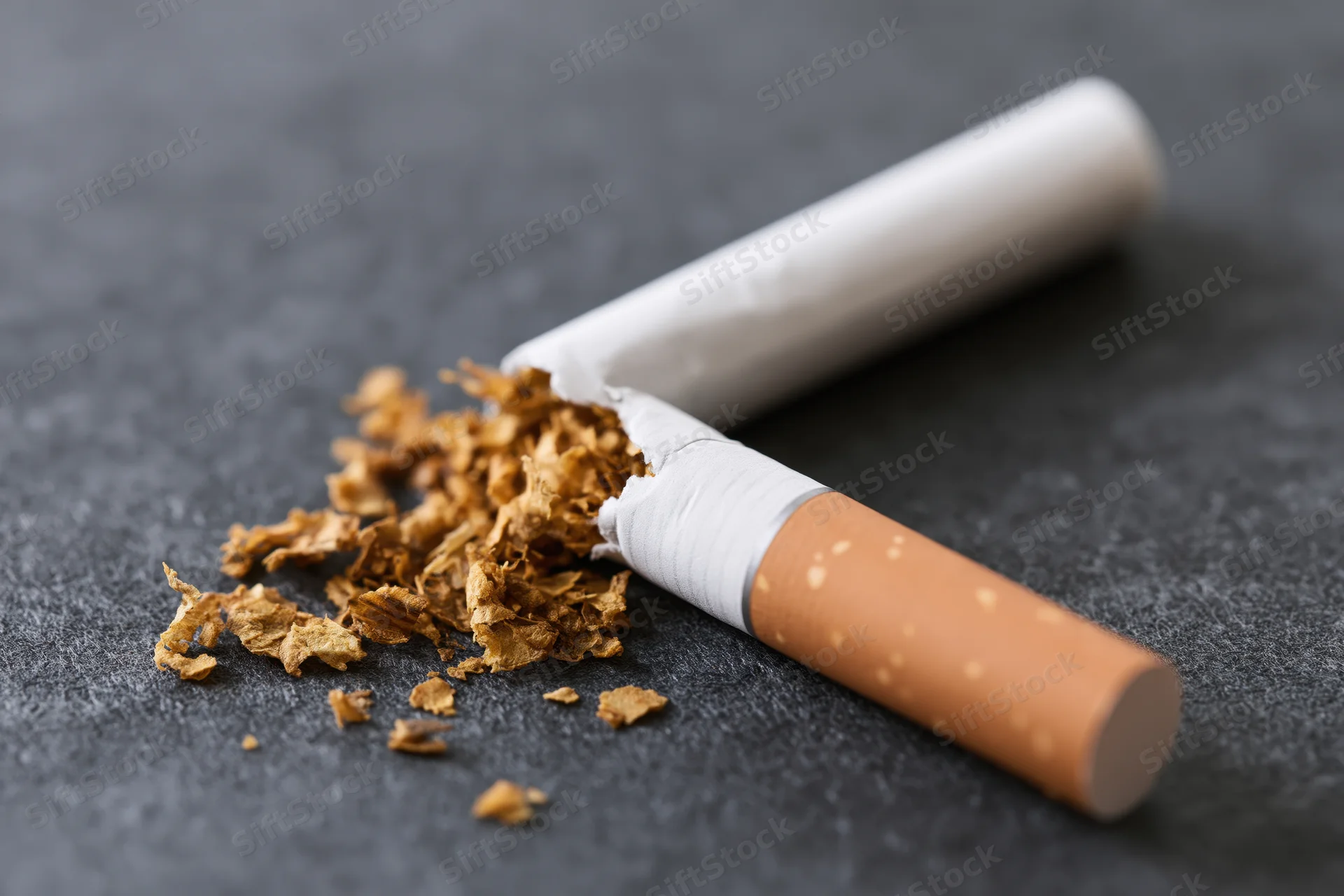 Broken cigarette with spilled tobacco on dark surface