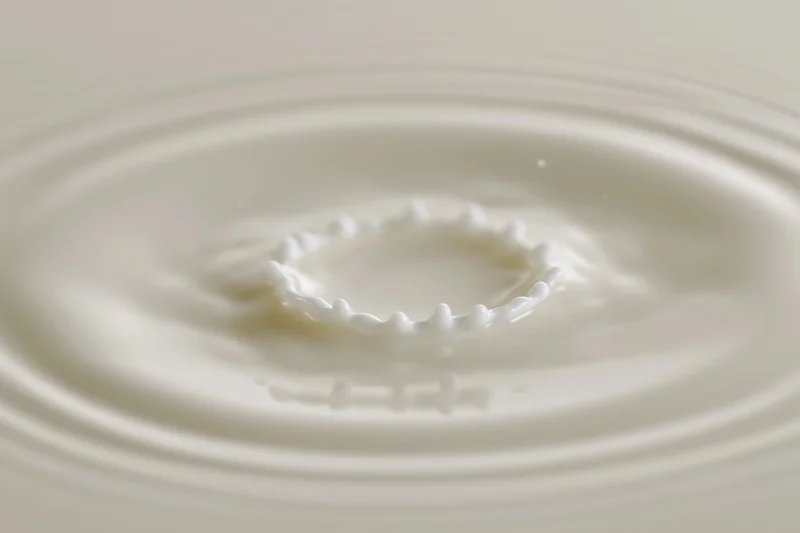 Milk drop creating crown splash on smooth surface with ripples spreading outward