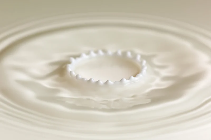 Milk drop creating crown splash on flat surface with ripples spreading outward