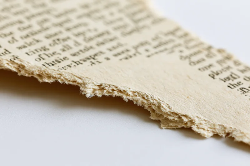 Torn fragment of aged paperback novel page with ragged edge on white background