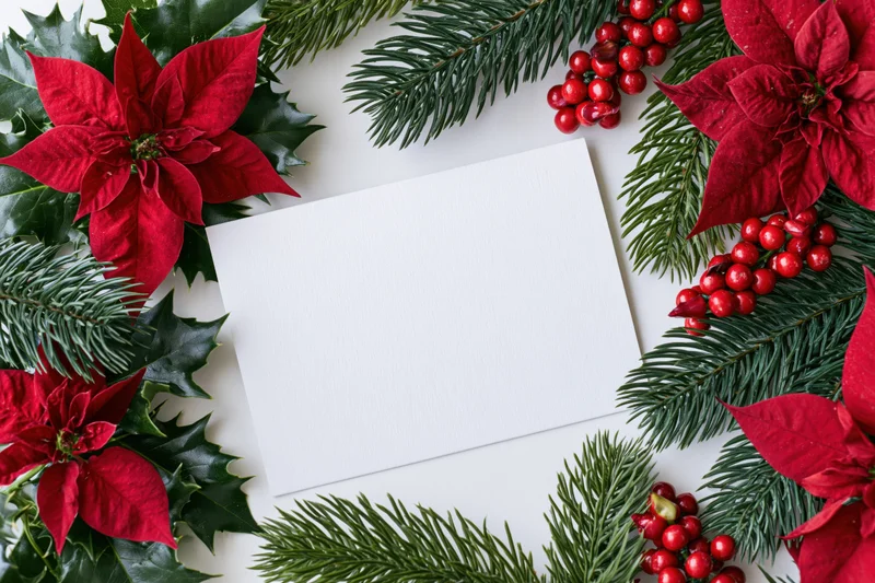 Blank white greeting card centered on a flat lay arrangement of poinsettias, holly, evergreen branches and red berries