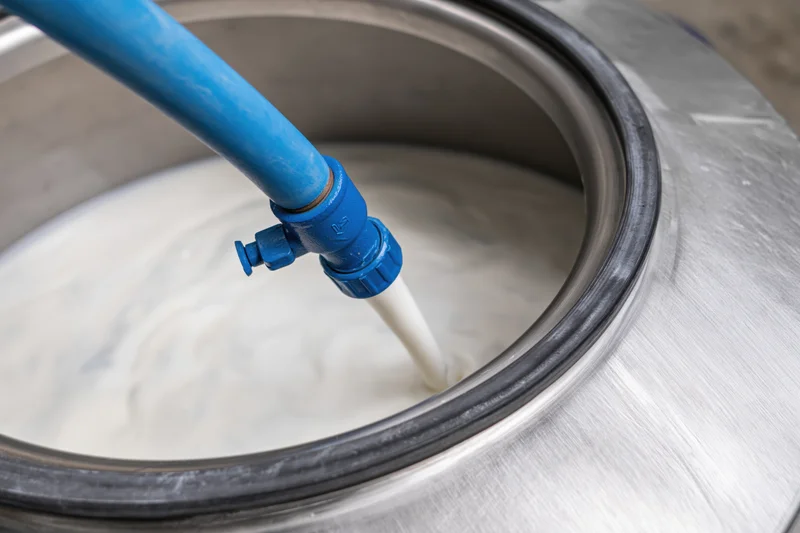 Blue plastic hose pumping milk into open stainless steel tank