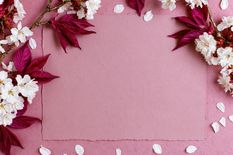 Cherry blossom branches with white flowers and deep pink leaves arranged in a frame on pink paper, leaving central copyspace