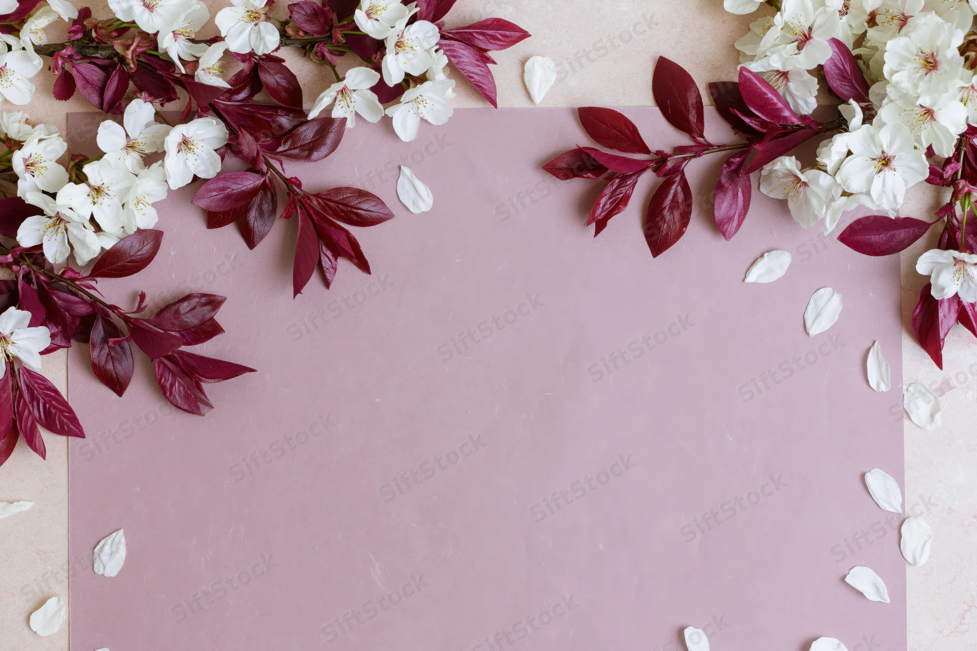 Cherry blossom branches with white flowers and deep pink leaves arranged around a pink paper sheet, creating a floral border with copyspace in the center