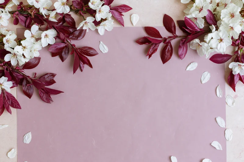 Cherry blossom branches with white flowers and deep pink leaves arranged around a pink paper sheet, creating a floral border with copyspace in the center