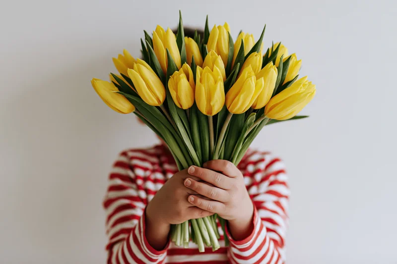 Child holding a large bouquet of yellow tulips in front of their face, wearing a red and white striped sweater