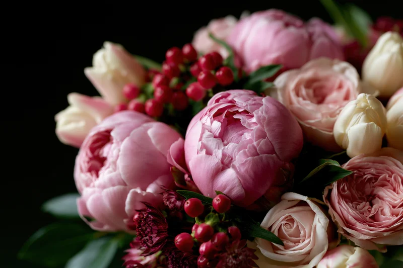 Close-up of a lush floral bouquet with pink peonies, roses, and red berries on a dark background