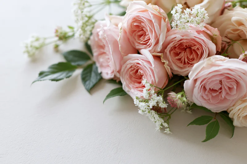Cluster of soft pink english garden roses with white filler flowers and green leaves arranged on a light surface