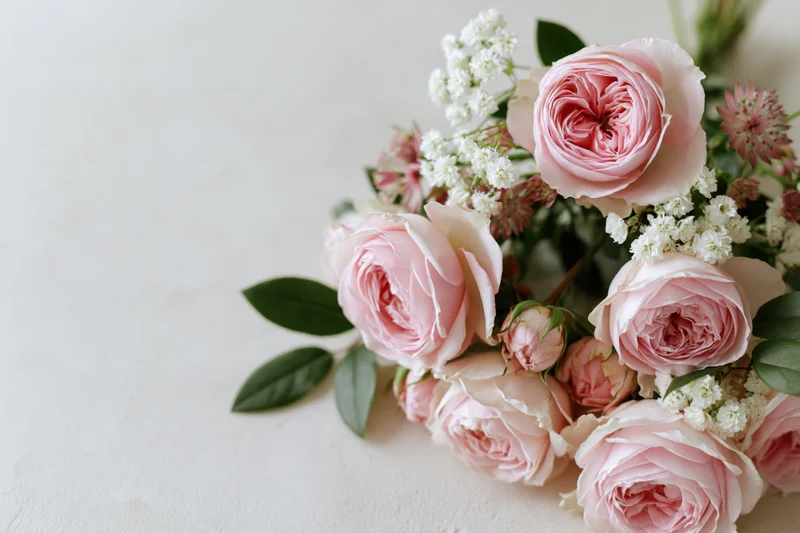Cluster of soft pink english garden roses and small white flowers arranged on a light surface with copyspace