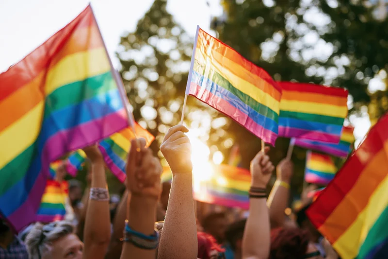 People waving rainbow pride flags in a sunny outdoor gathering