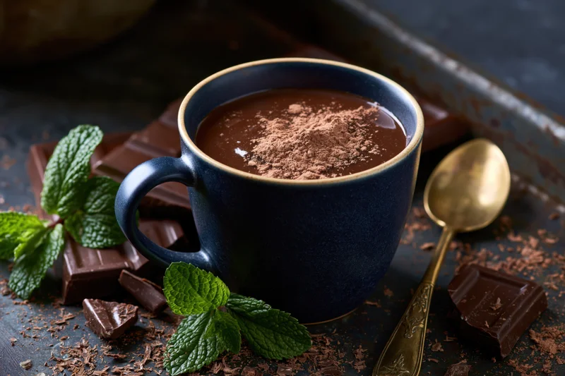 Dark navy ceramic mug filled with thick hot chocolate dusted with cocoa powder, surrounded by chocolate pieces and mint leaves on a rustic tray