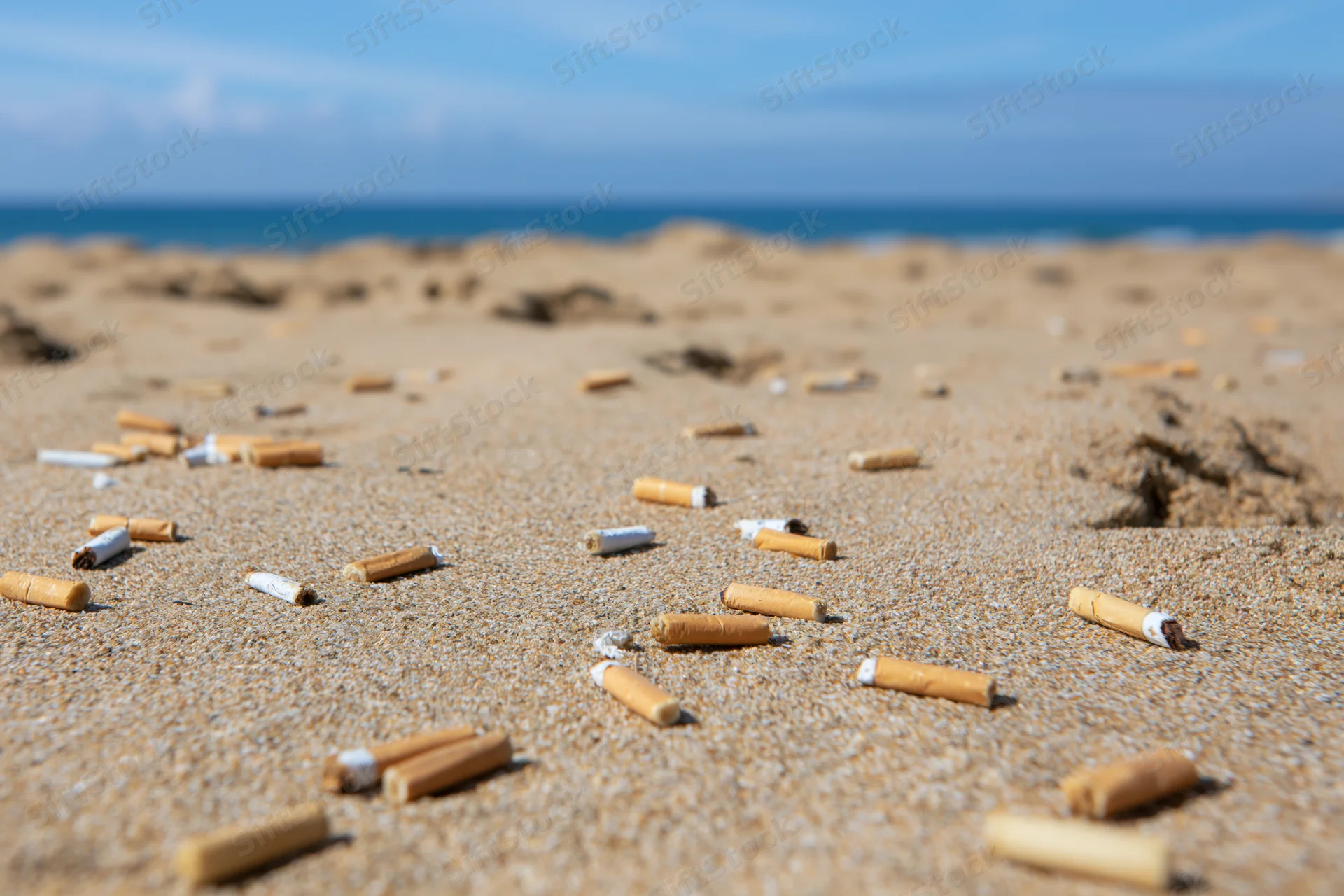 Cigarette butts scattered across sandy beach near ocean