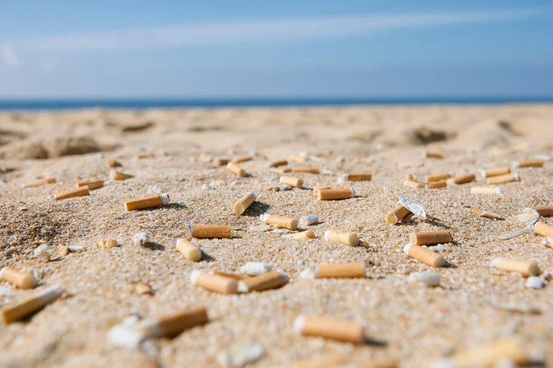 Cigarette butts scattered across sandy beach near ocean under blue sky