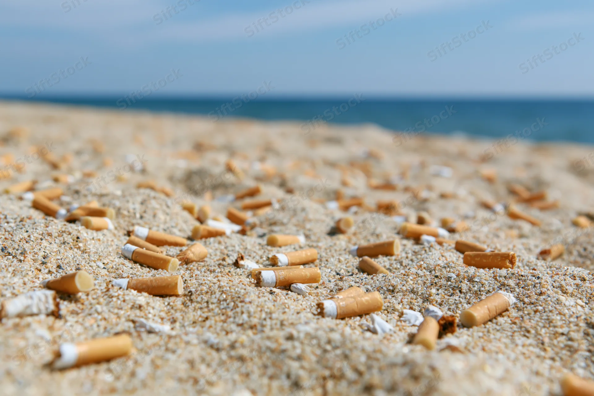 Cigarette butts scattered across sandy beach near ocean
