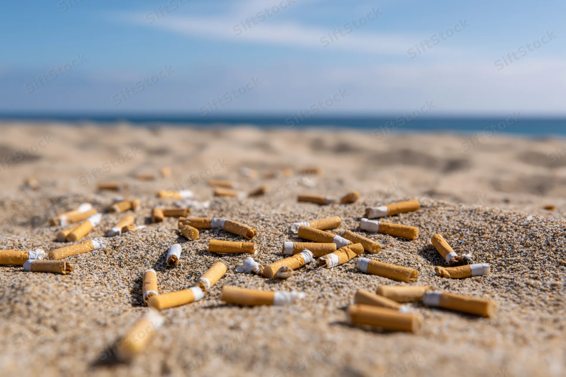 Cigarette butts scattered across sandy beach near ocean