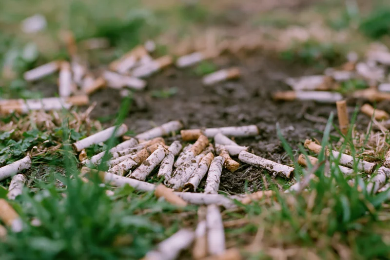 Cigarette butts scattered on muddy ground among patches of grass
