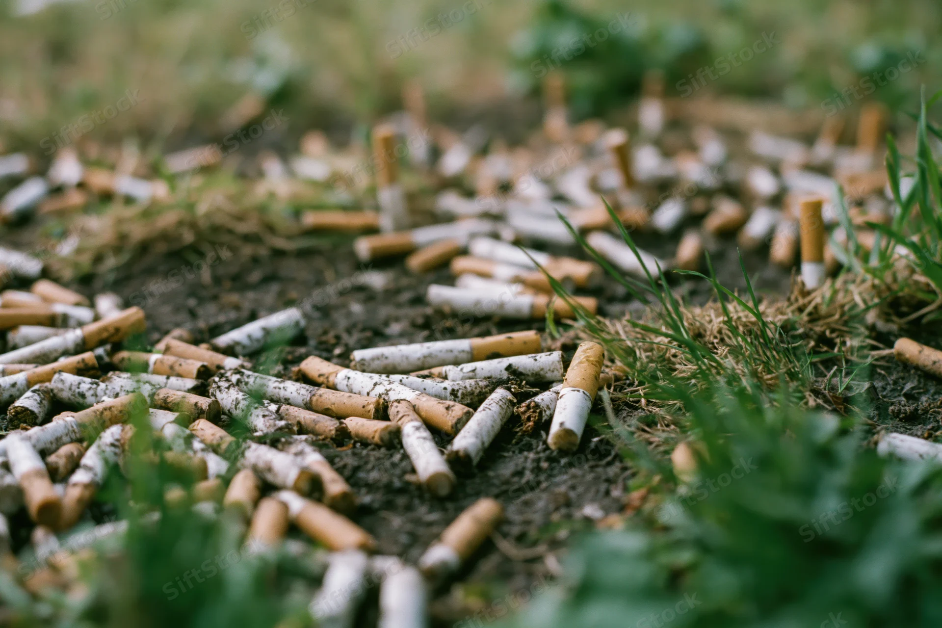 Scattered cigarette butts on muddy ground with patches of grass