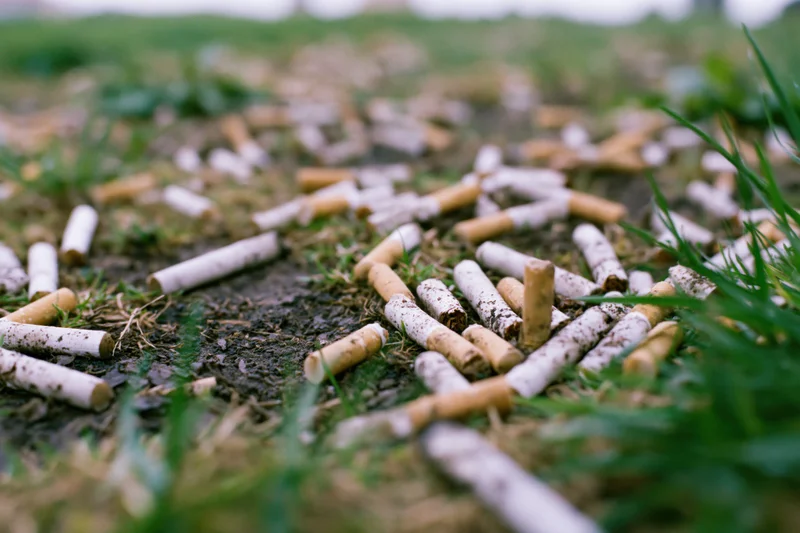Cigarette butts scattered across patchy grass and soil outdoors