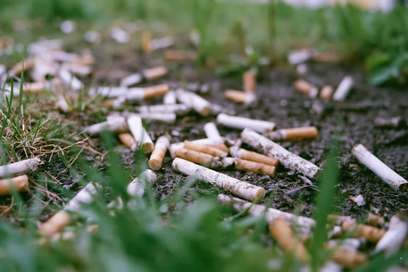 Cigarette butts scattered on muddy ground among grass in an outdoor setting
