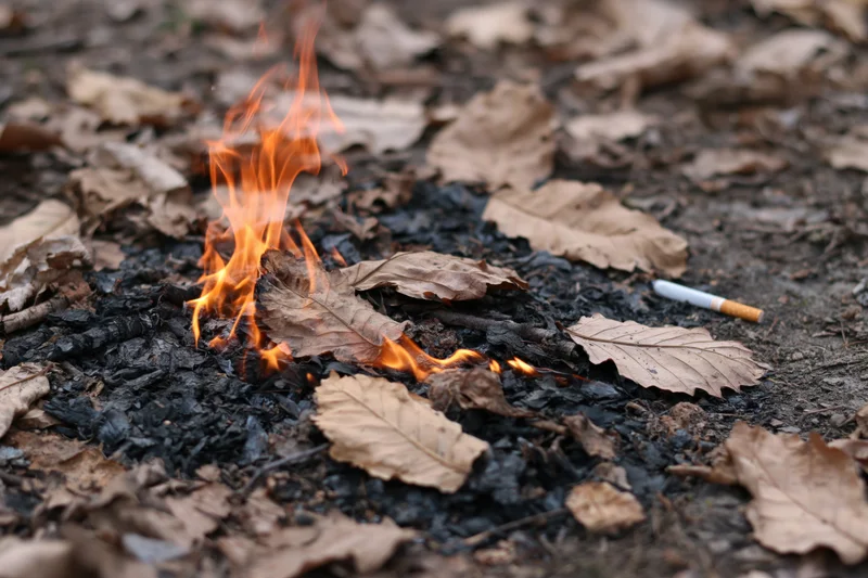 Flames burning dry leaves on forest floor with discarded cigarette nearby