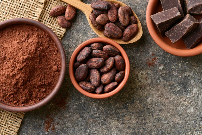 Cocoa powder and roasted cacao beans in clay bowls with chocolate chunks on stone surface