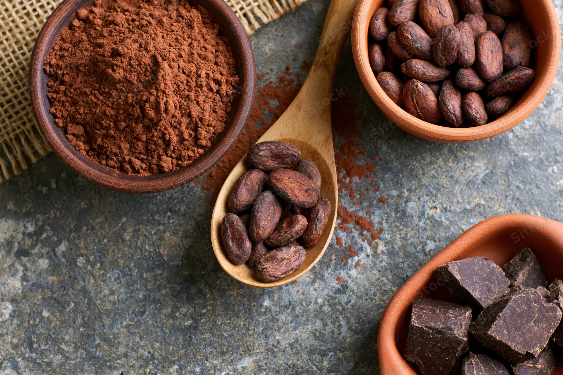 Cocoa powder and roasted cacao beans arranged in clay bowls and wooden spoon on stone surface
